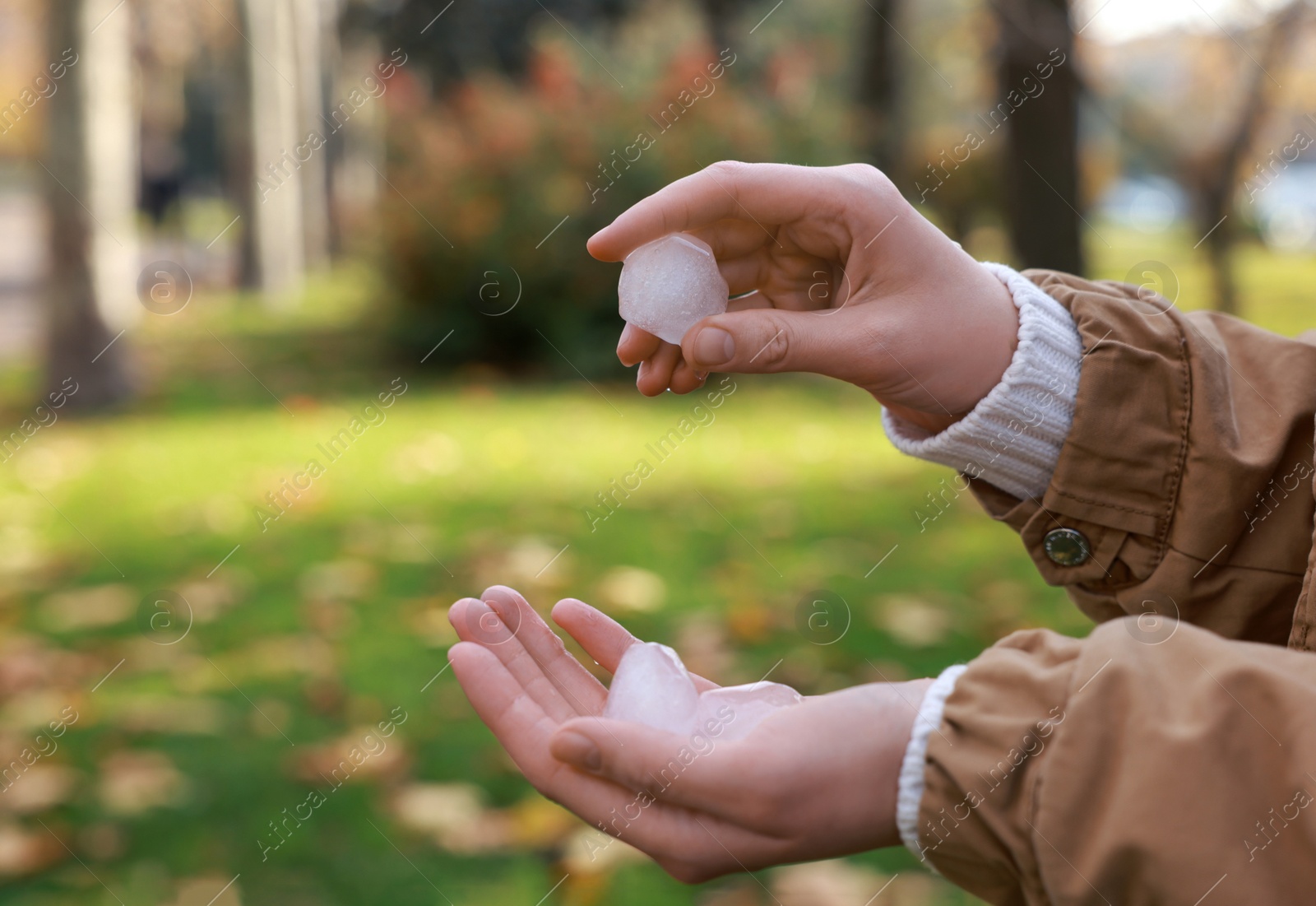 Photo of Woman holding hail grains after thunderstorm in park, closeup