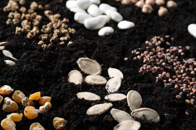 Photo of Different seeds on fertile soil, closeup. Vegetables growing