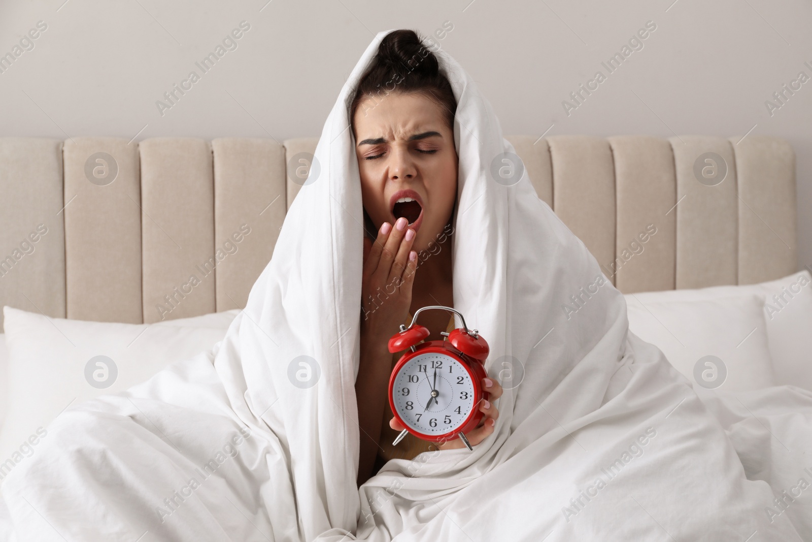 Photo of Overslept woman with alarm clock in bed. Being late concept