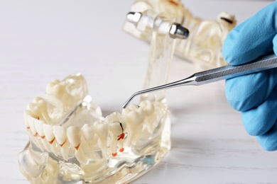 Photo of Dentist working with model of oral cavity with teeth at table, closeup