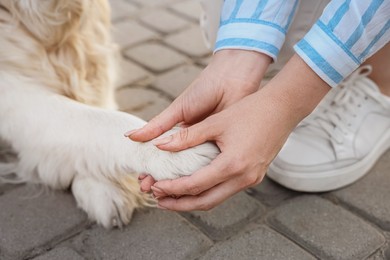 Photo of Woman holding dog's paw on city street, closeup