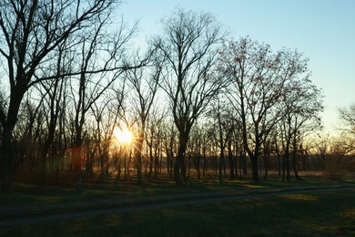 Photo of Beautiful view of autumn park at sunset