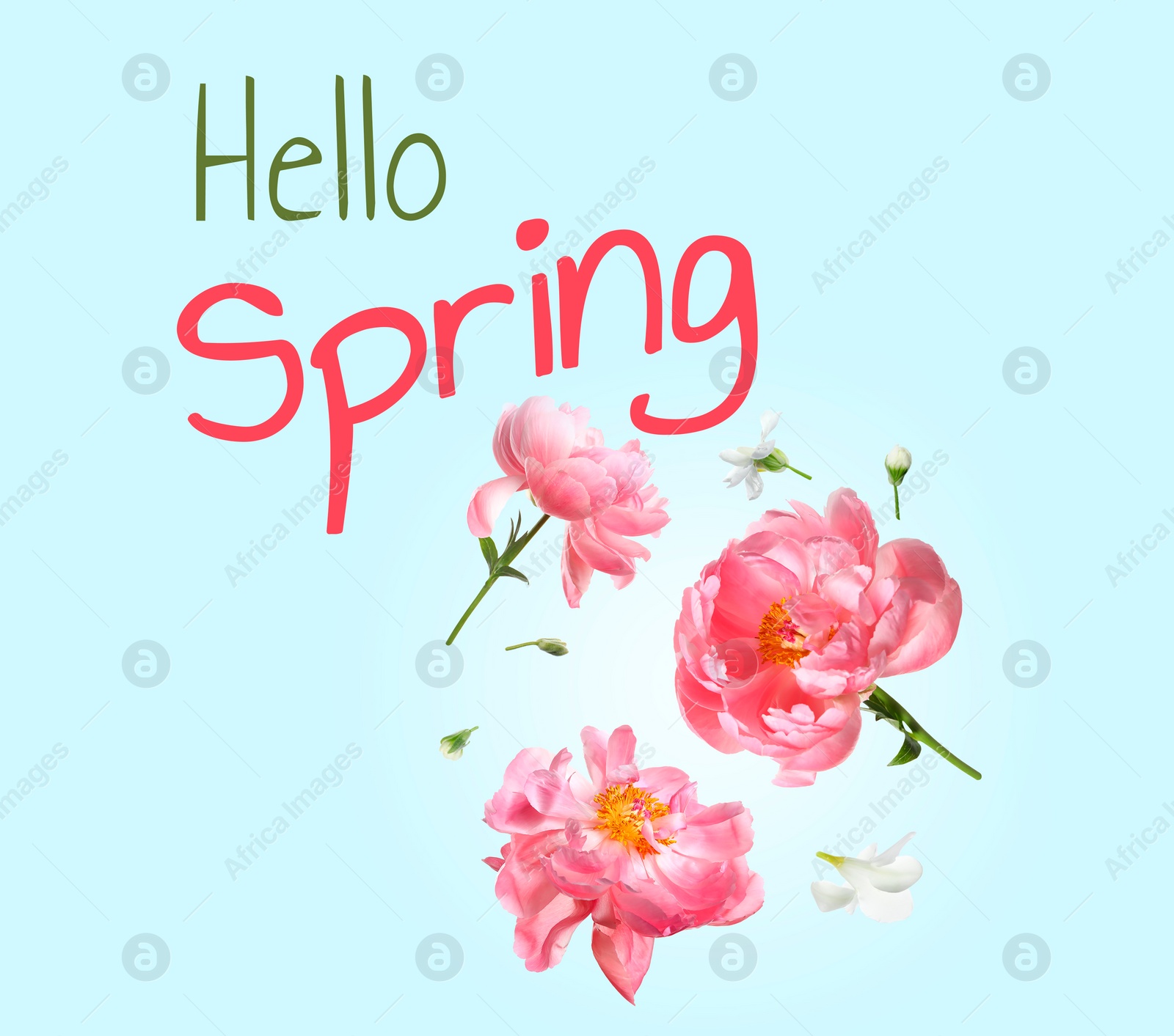 Image of Hello Spring card. Beautiful flowers on light blue background