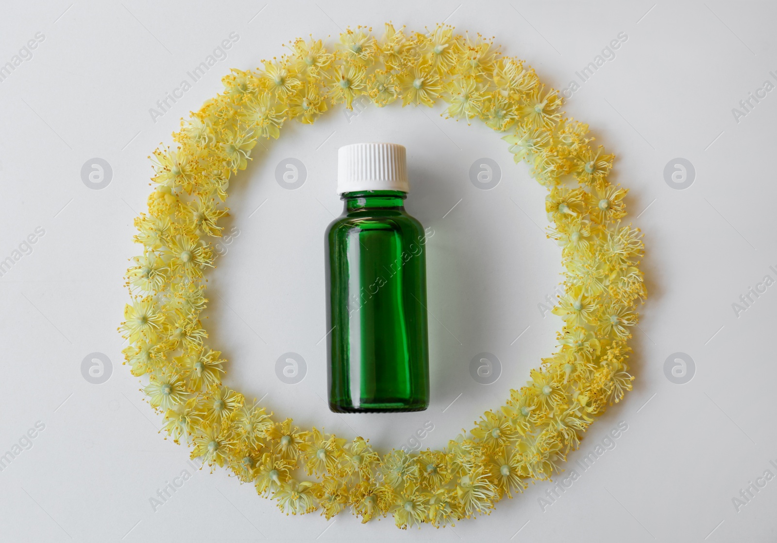 Photo of Bottle of essential oil and linden blossoms on white background, flat lay