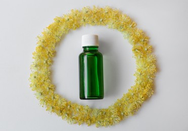 Photo of Bottle of essential oil and linden blossoms on white background, flat lay