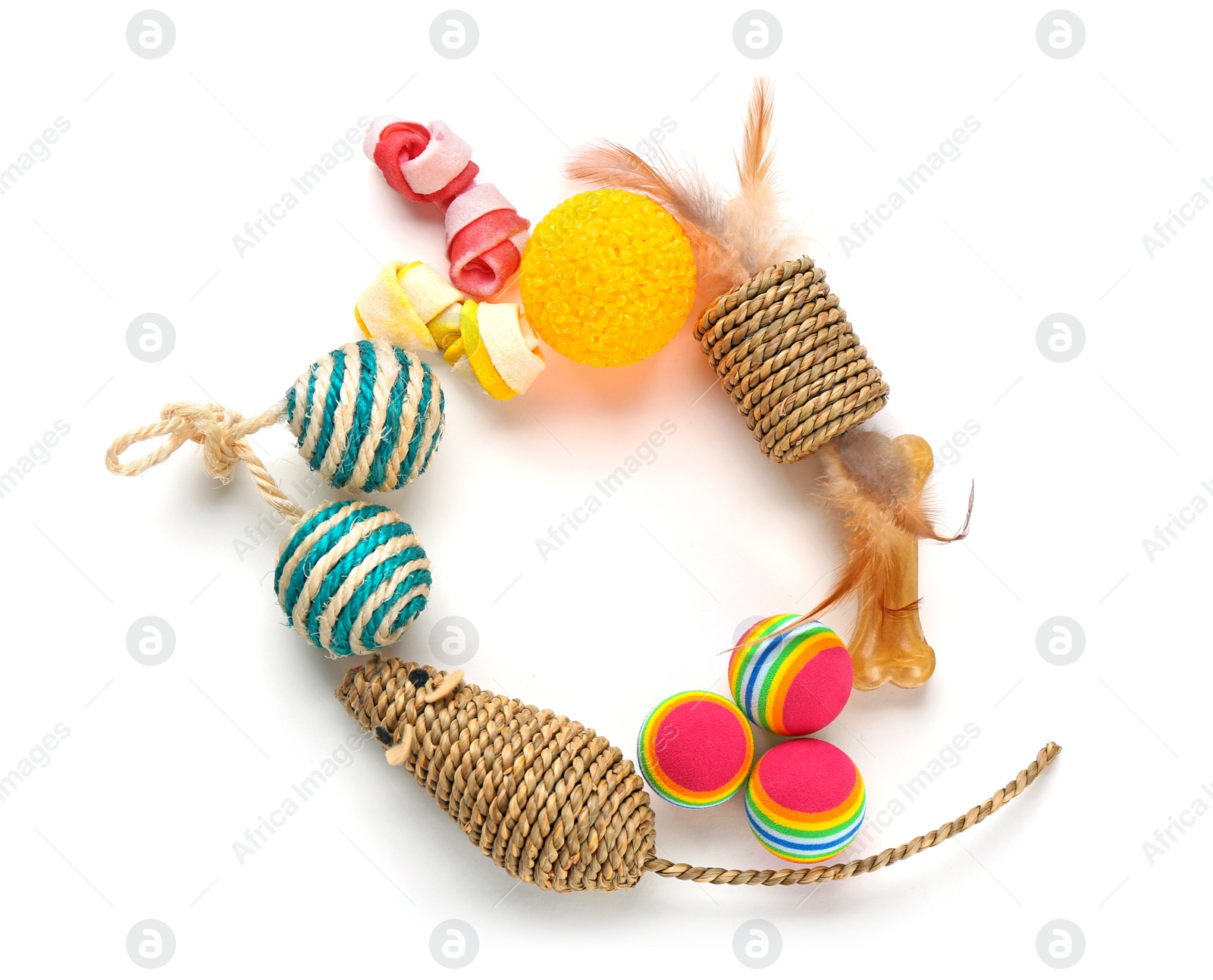 Photo of Cat's accessories on white background