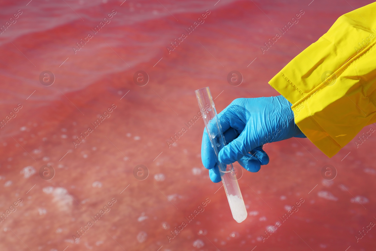 Photo of Laboratory worker with test tube taking sample from pink lake for analysis, closeup