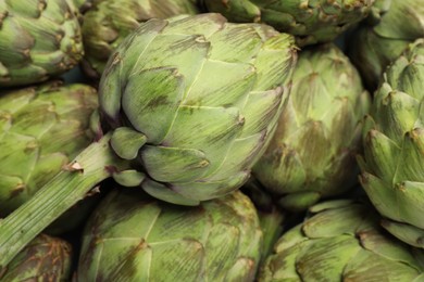 Many fresh raw artichokes as background, closeup