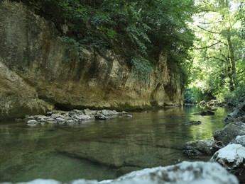 Photo of Picturesque landscape with trees, stones and river