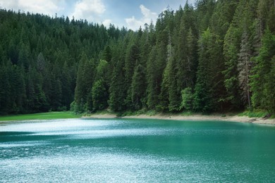 Photo of Picturesque view of clear lake near forest