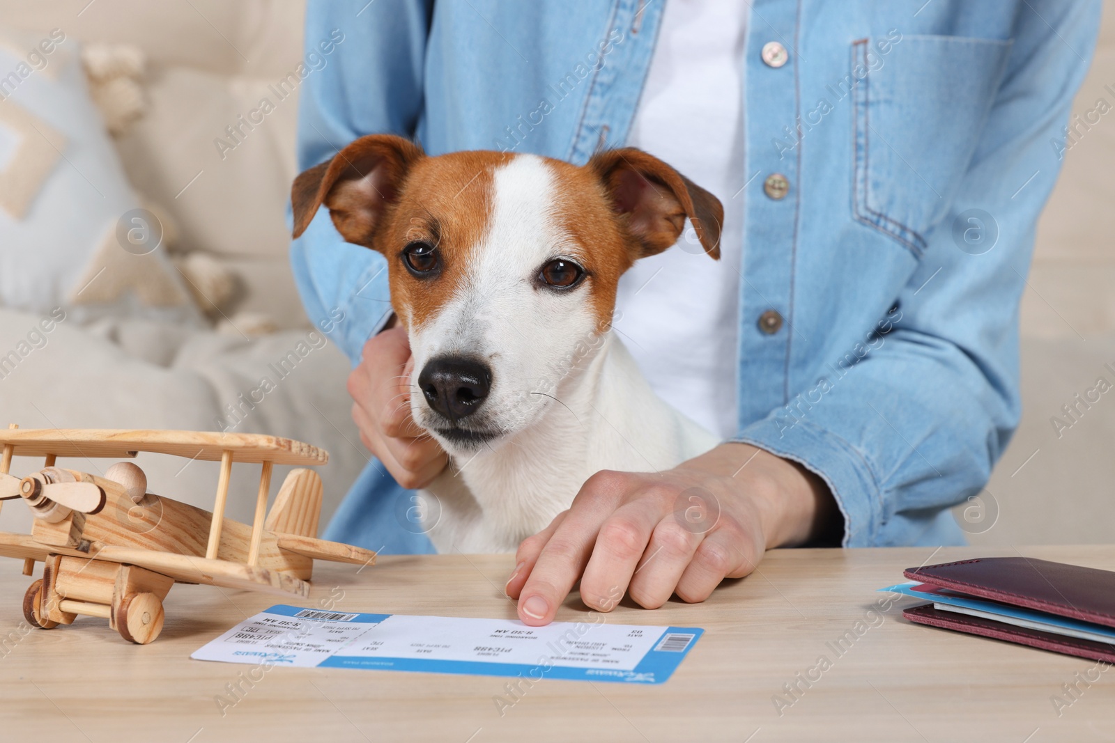 Photo of Woman with ticket, toy plane and dog at wooden table indoors. Travel with pet concept