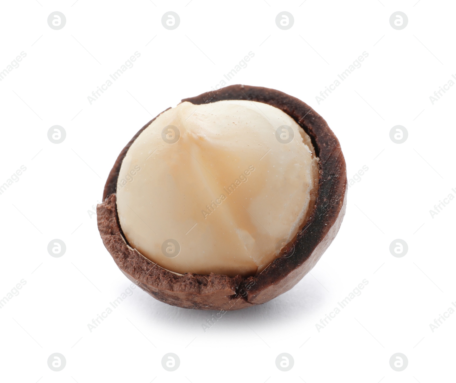 Photo of Organic Macadamia nut and shell on white background