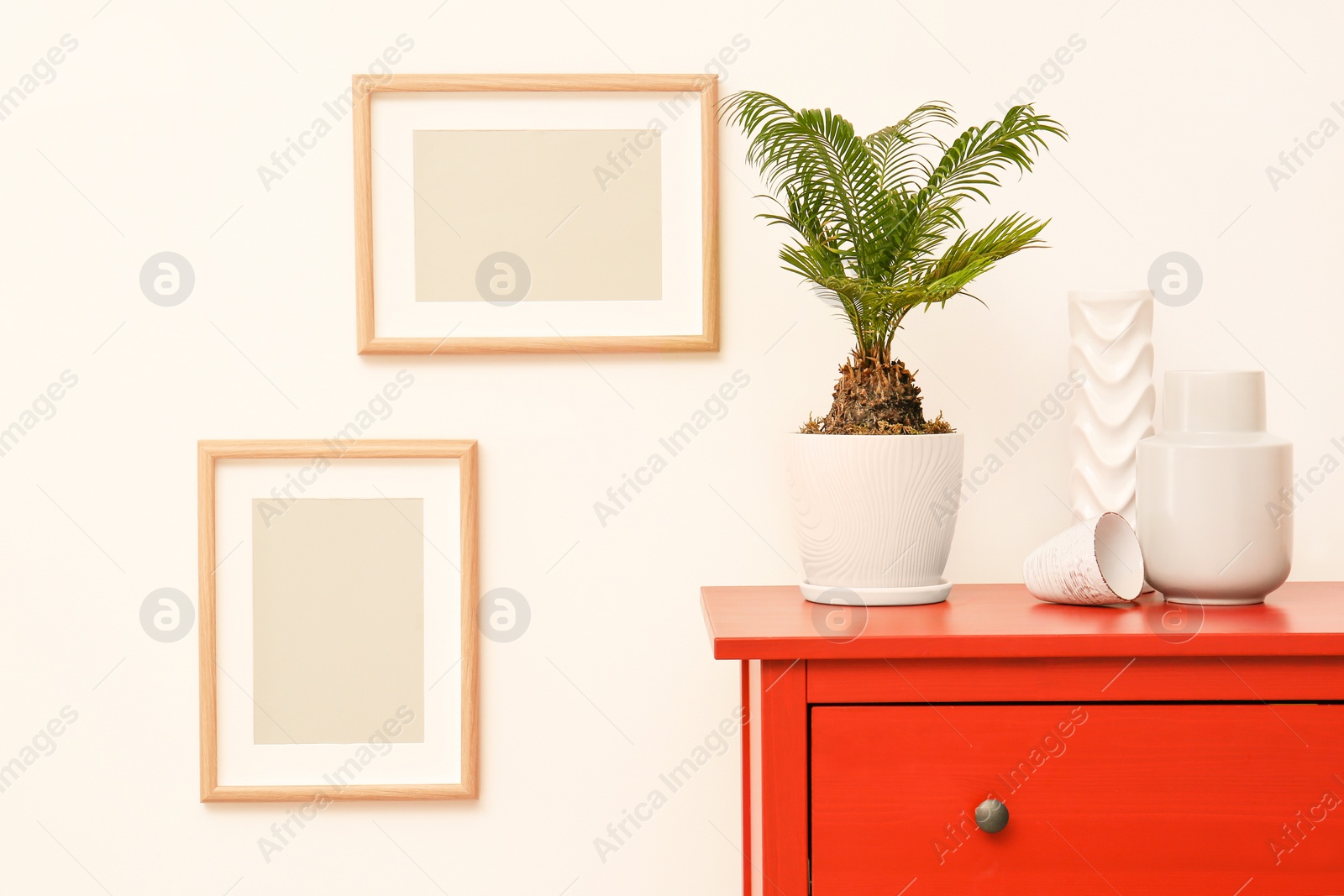 Photo of Tropical plant on dresser against light wall indoors