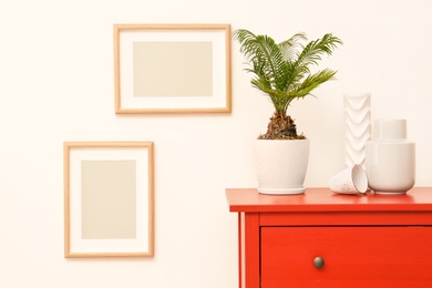 Tropical plant on dresser against light wall indoors