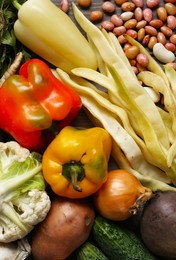 Photo of Different fresh vegetables as background, top view. Farmer harvesting