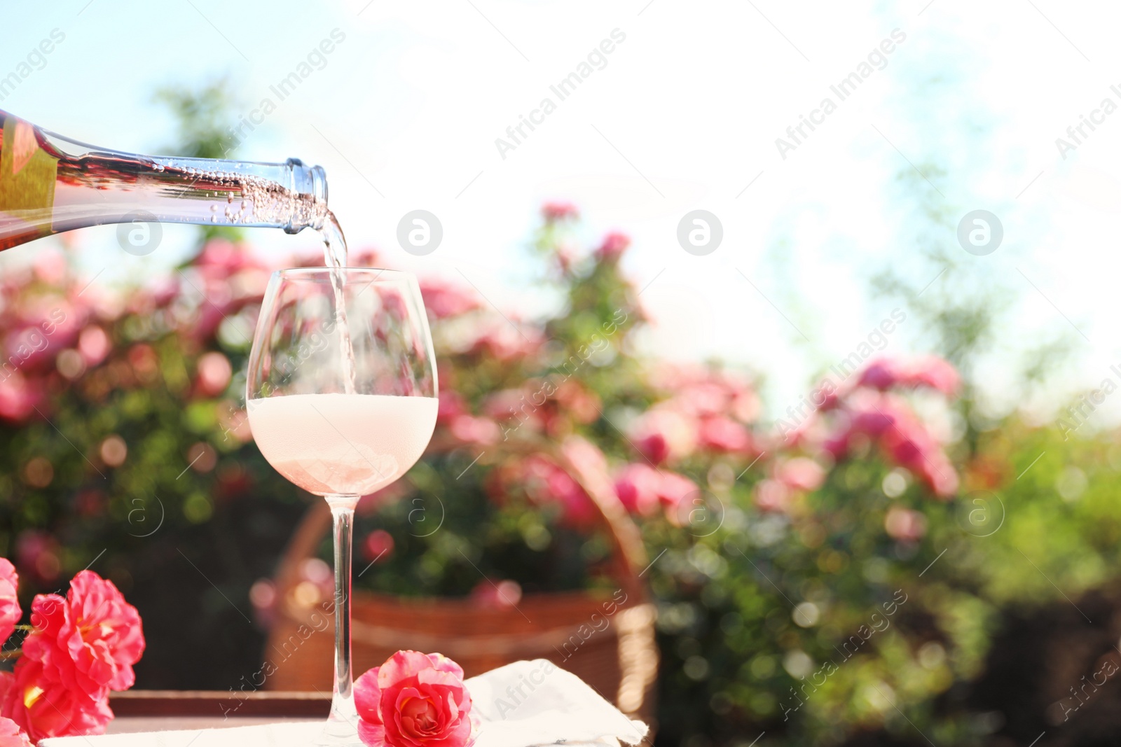 Photo of Pouring wine into glass on table in blooming rose garden. Space for text