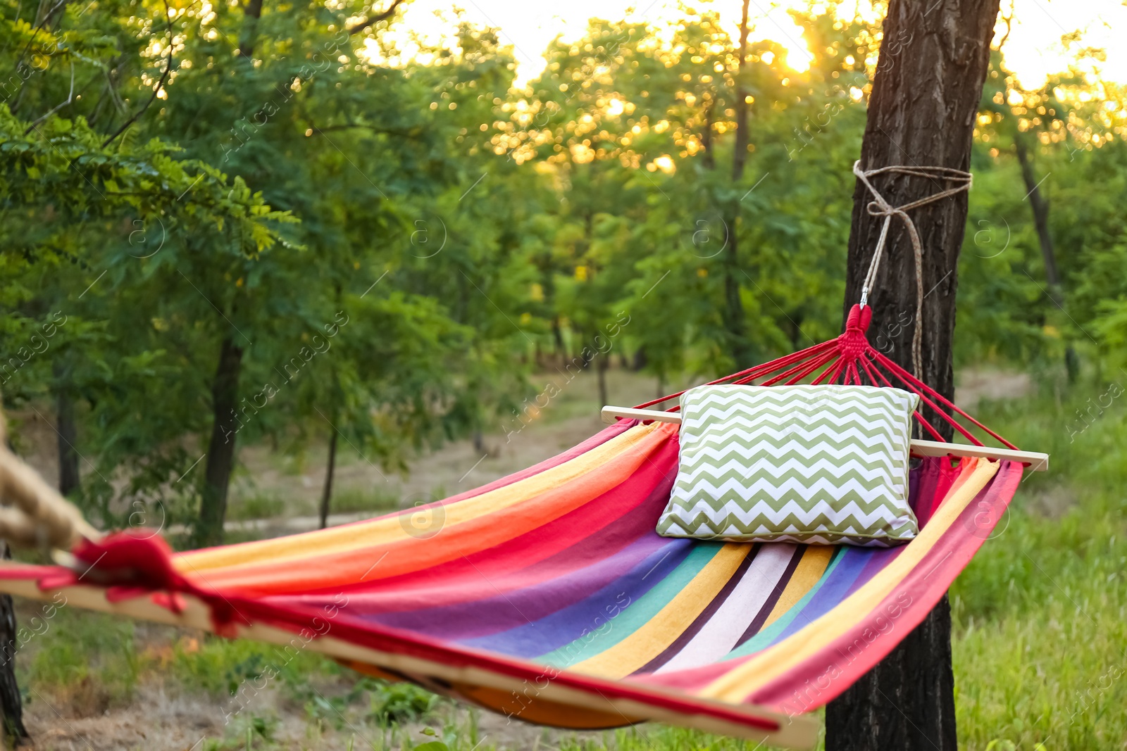 Photo of Comfortable bright hammock with soft pillow at green garden