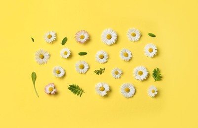 Photo of Many beautiful daisy flowers and leaves on yellow background, flat lay