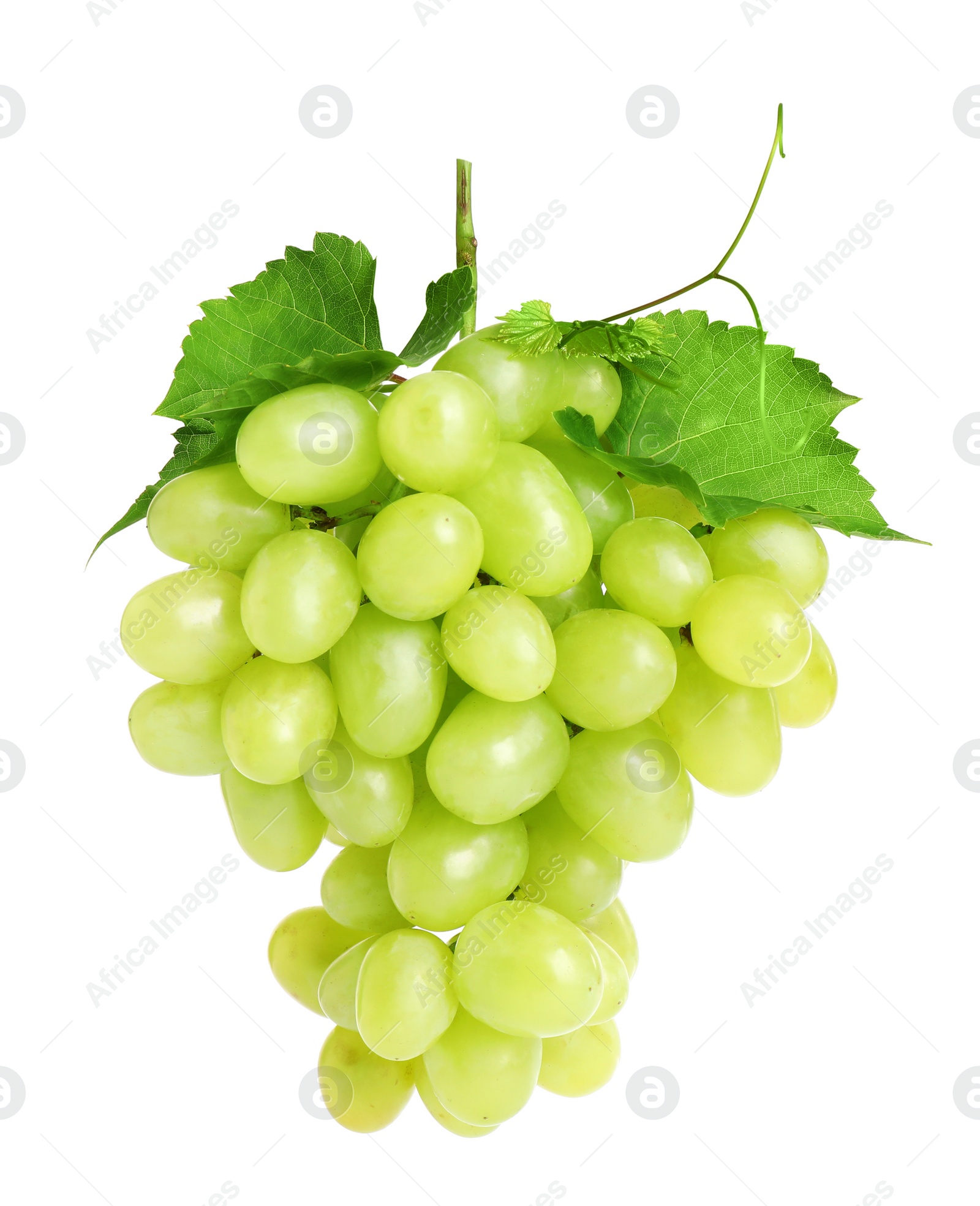 Photo of Bunch of fresh ripe juicy grapes isolated on white