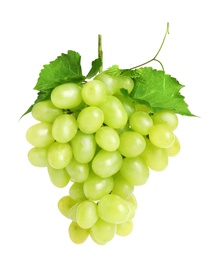 Photo of Bunch of fresh ripe juicy grapes isolated on white