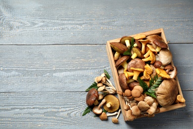Photo of Flat lay composition with different mushrooms on grey wooden background, space for text