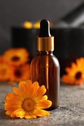 Photo of Bottle of essential oil and beautiful calendula flower on grey table, closeup
