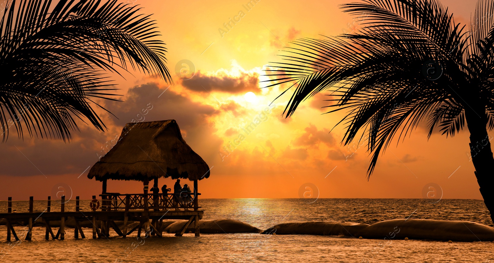 Image of Picturesque view of sea, palm trees and wooden pier at sunset