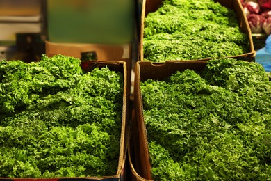Photo of Fresh green lettuce in cardboard containers at market