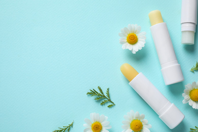 Photo of Hygienic lipsticks and chamomile flowers on turquoise background, flat lay. Space for text