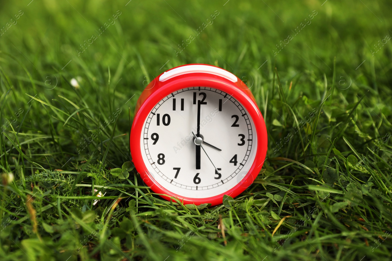 Photo of Red alarm clock on green grass outdoors