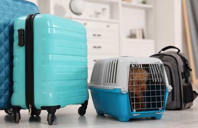 Photo of Travel with pet. Cute dog in carrier among suitcases at home
