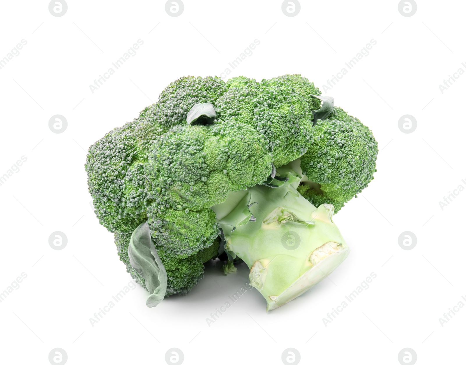 Photo of Fresh raw green broccoli isolated on white