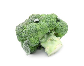 Fresh raw green broccoli isolated on white