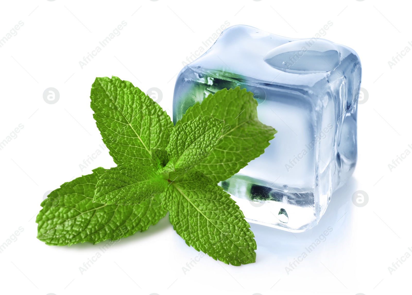 Image of Green mint and ice cube isolated on white