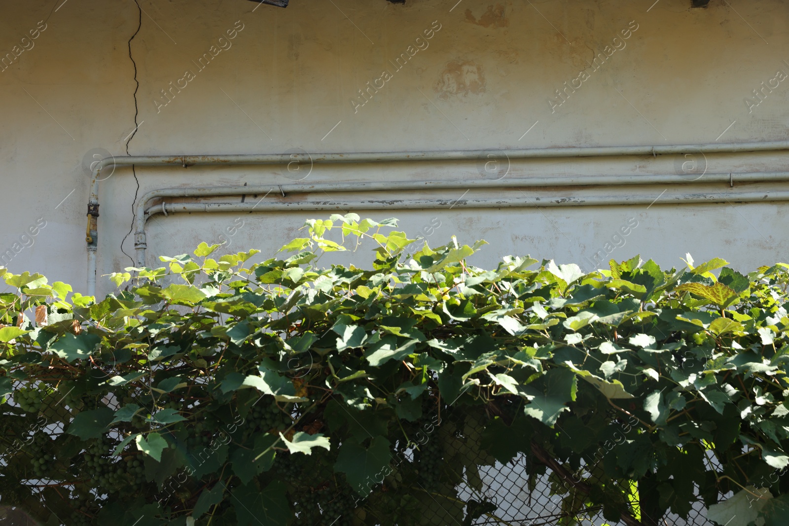 Photo of Rusty gas pipes on white wall outdoors