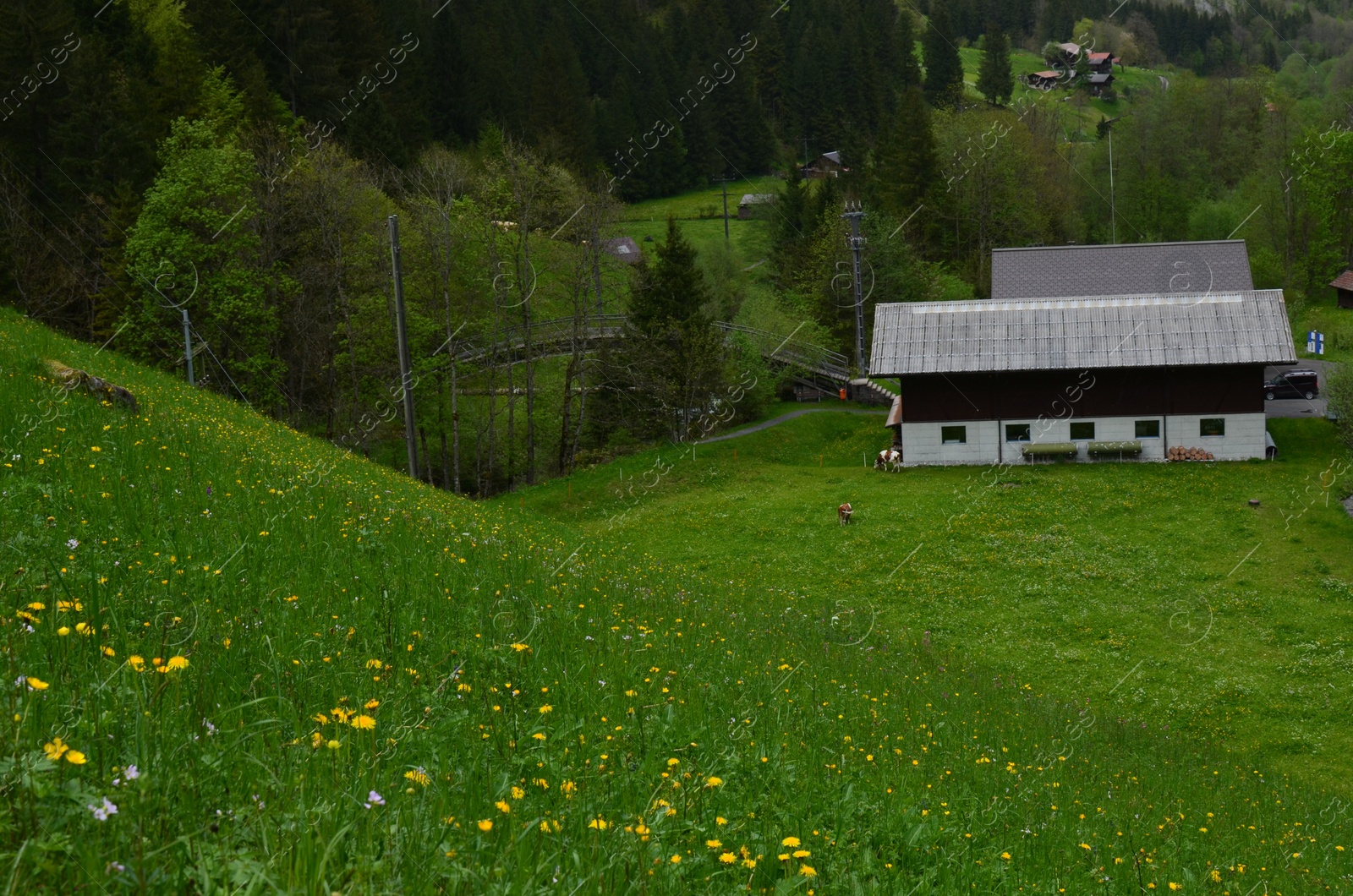 Photo of View of beautiful cottages on green hill in mountains