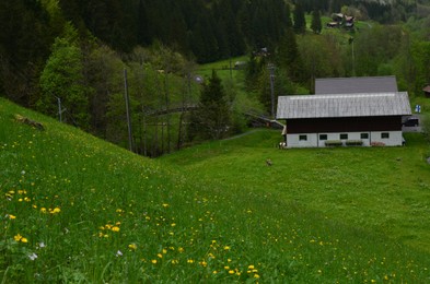 Photo of View of beautiful cottages on green hill in mountains