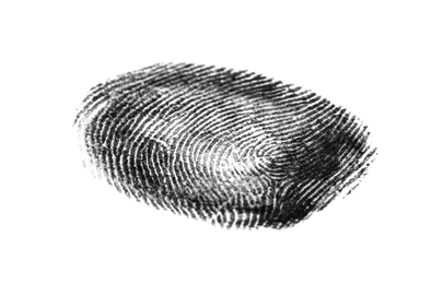 Photo of Black fingerprint on white background. Friction ridge pattern