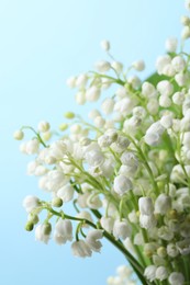 Beautiful lily of the valley flowers on light blue background, closeup