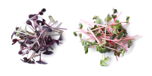 Different fresh microgreens on white background, top view. Banner design 