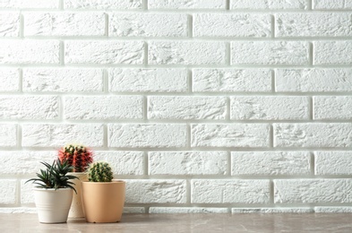 Potted plants on table near brick wall, space for text. Interior decor