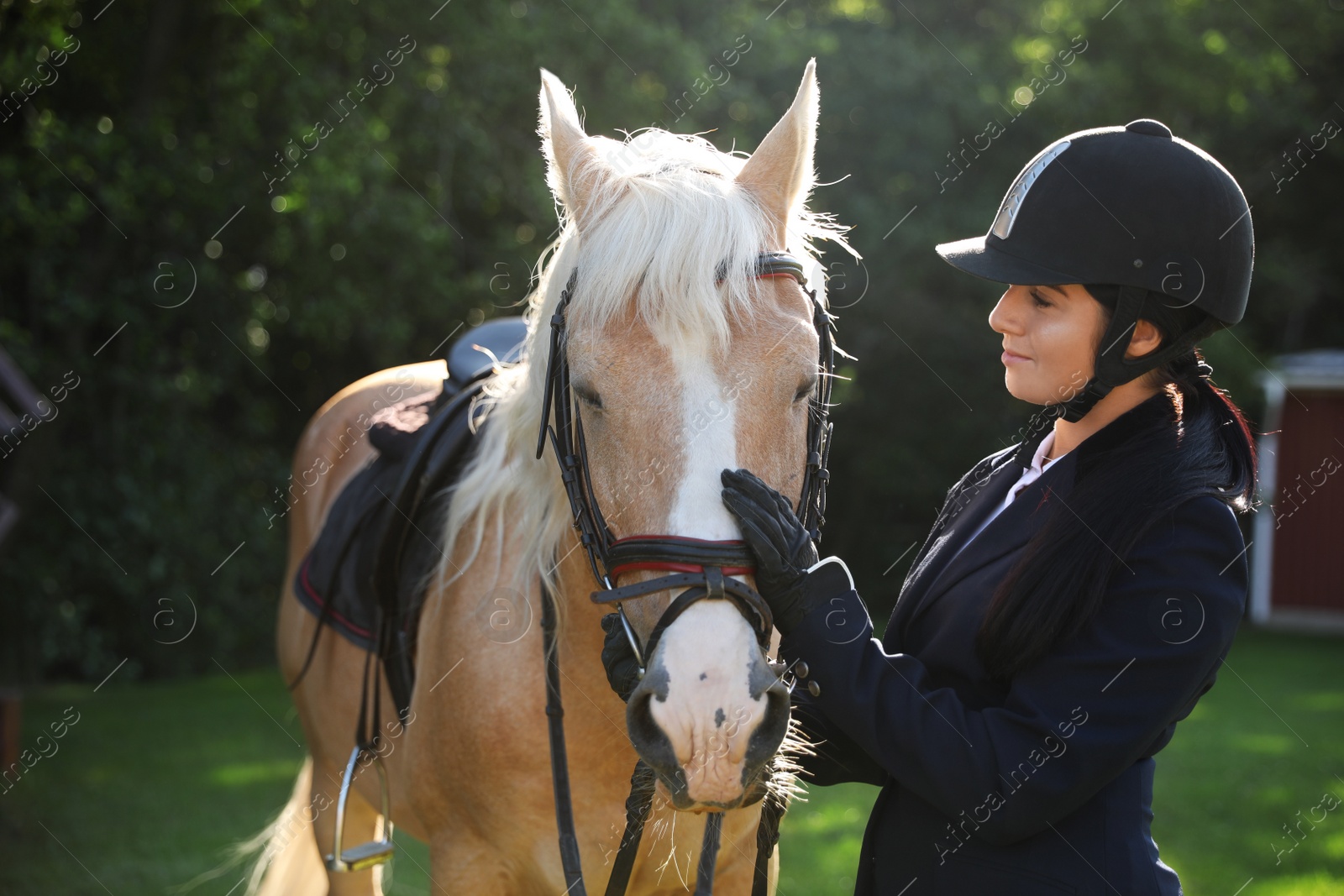 Photo of Young woman in horse riding suit and her beautiful pet outdoors on sunny day