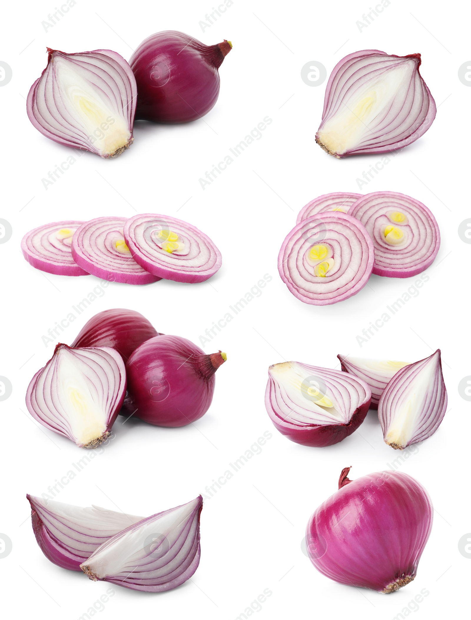 Image of Set of red cut and whole onion on white background