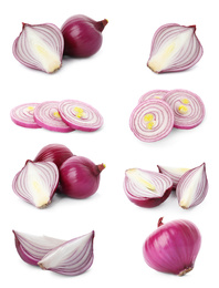 Image of Set of red cut and whole onion on white background