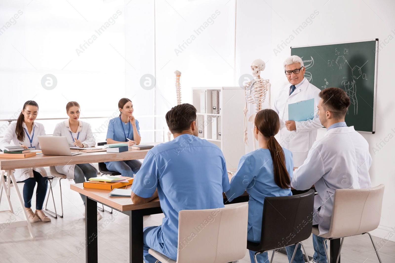 Photo of Medical students and professor studying human skeleton anatomy in classroom