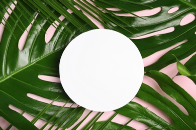 Photo of Flat lay composition with tropical leaves on color background