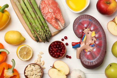Flat lay composition with kidney model and different products on white wooden table