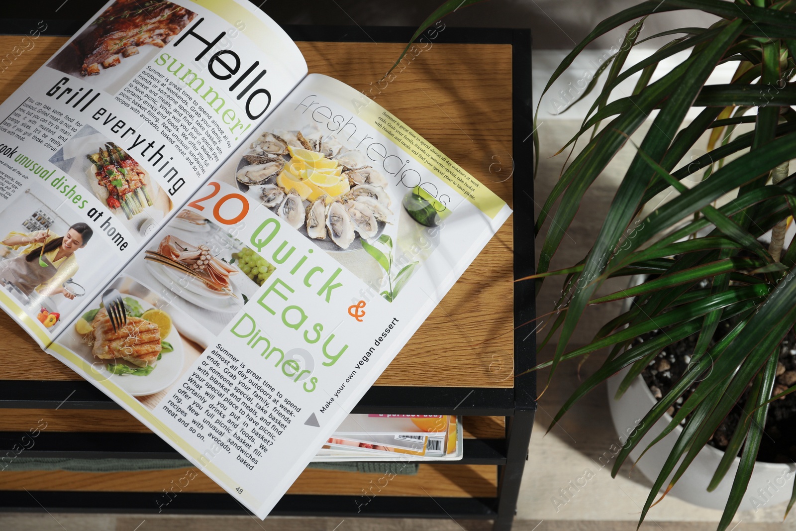 Photo of Wooden cabinet with magazines near houseplant indoors, above view