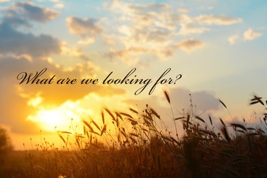 What are we looking for? Beautiful countryside at sunset and inspirational words