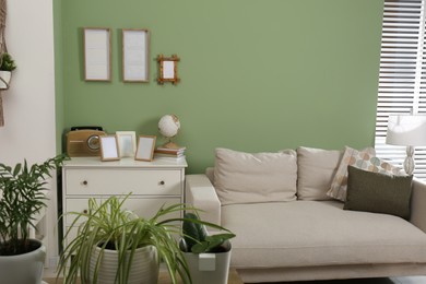 Photo of Comfortable sofa, houseplants and chest of drawers in cozy room. Interior design